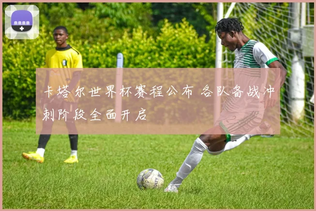 卡塔尔世界杯赛程公布 各队备战冲刺阶段全面开启