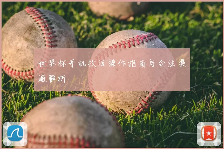 世界杯手机投注操作指南与合法渠道解析