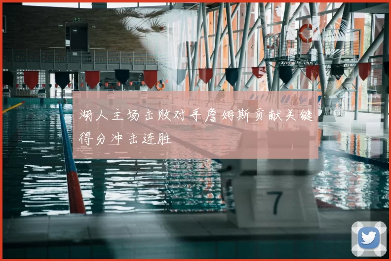 湖人主场击败对手詹姆斯贡献关键得分冲击连胜