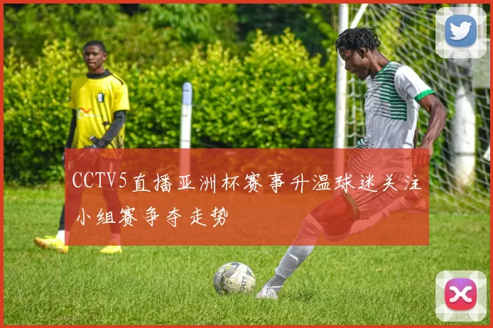CCTV5直播亚洲杯赛事升温球迷关注小组赛争夺走势